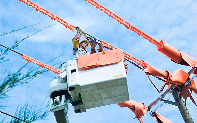 Tổng công ty Điện lực miền Nam luôn nỗ lực nâng cấp hạ tầng ngành điện.