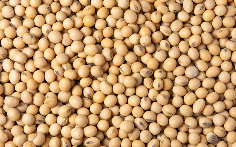 Kim loại cơ bản bất ngờ tăng giá mạnh, nông sản lấy lại đà tăng