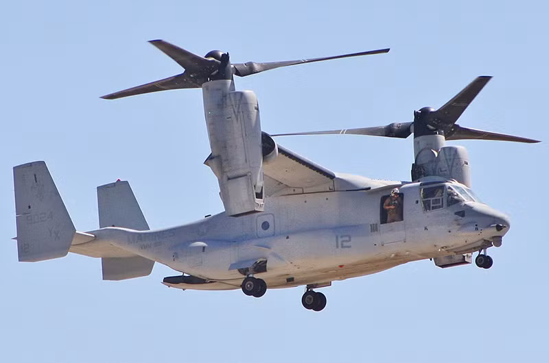 Ảnh minh họa. (Nguồn: Wikipedia)