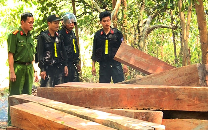 Lực lượng Công an phát hiện lâm sản do Công ty lâm nghiệp Ea Kar quản lý bị khai thác trái phép với khối lượng lớn nhưng công ty không hề hay biết.