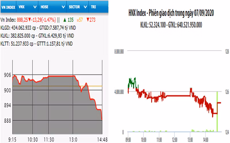 Diễn biến VN-Index và HNX-Index, phiên giao dịch ngày 7-9. 