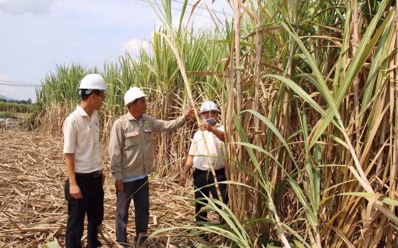 Anh Lê Đình Út (giữa), xã Cam Hiệp Nam, huyện Cam Lâm, tỉnh Khánh Hòa. (Ảnh: VNM)