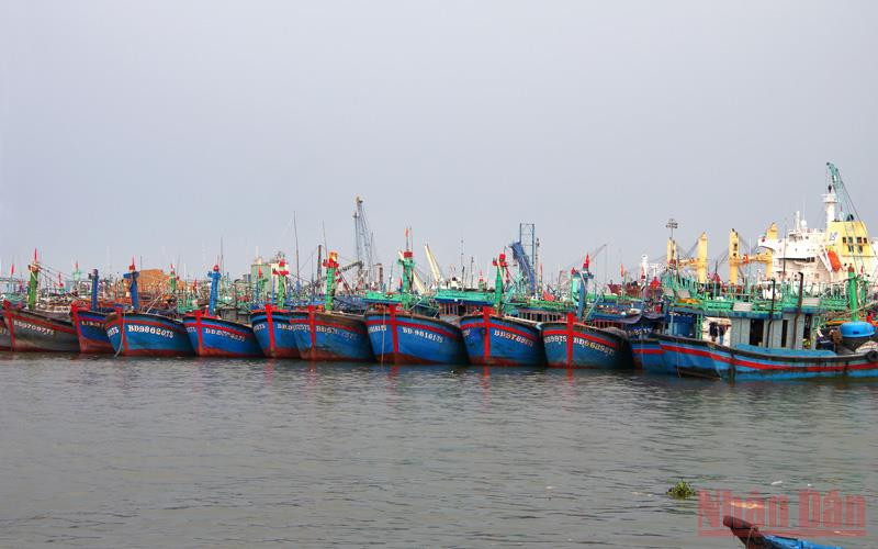 Tàu thuyền đang neo đậu trong khu vực Cảng cá Quy Nhơn, tỉnh Bình Định. 