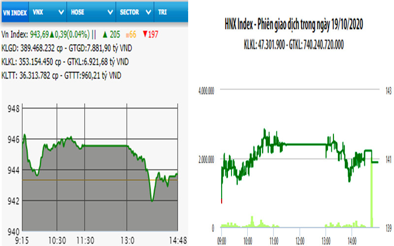 Diễn biến VN-Index và HNX-Index, phiên giao dịch ngày 19-10. 