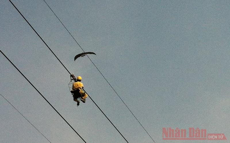 Nhân viên Truyền tải điện Đông Bắc 3 vất vả tháo gỡ những chiếc diều mắc vào đường dây