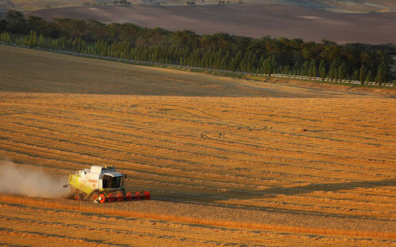 Ảnh minh họa. (Nguồn: Reuters)