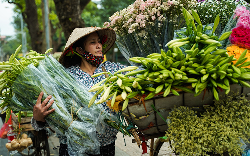 Hoa loa kèn tháng 4 ở thủ đô Hà Nội