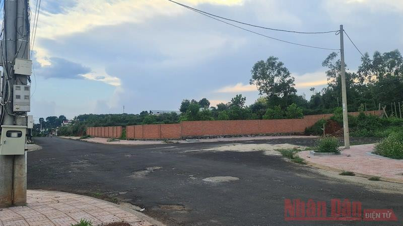 Một khu vực đất nông nghiệp với hàng chục ha tại phường Nghĩa Trung, thành phố Gia Nghĩa được quy hoạch là đất cây xanh nhưng lại đang được đề xuất chuyển đổi qua đất ở.