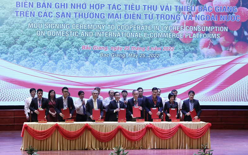 Ký kết hợp tác tiêu thụ vải thiều năm 2022.