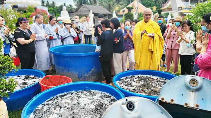 Đại đức cùng các phật tử tổ chức phóng sinh cá nhân dịp Phật đản.