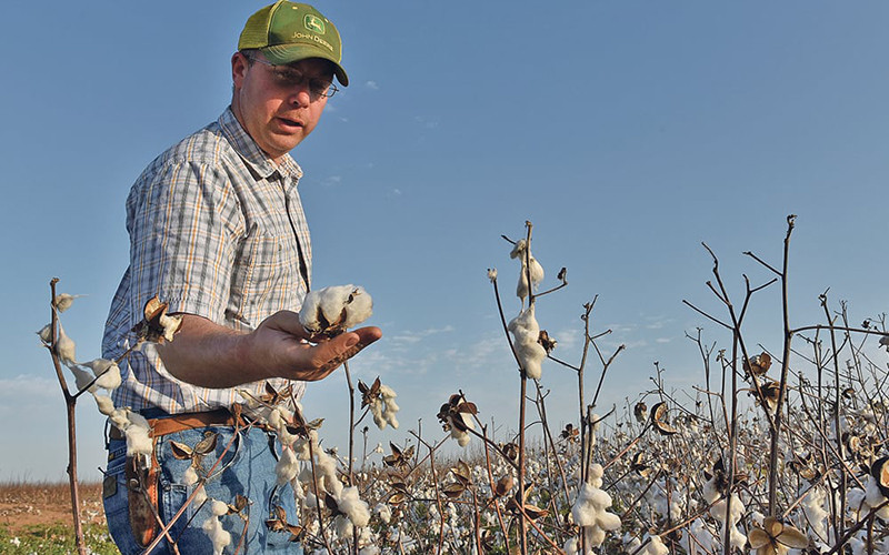 Ảnh minh họa. (Reuters)