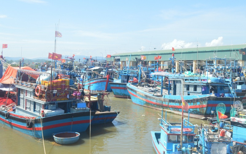 Từ ngày 15/9, các cảng cá, bến cá ở Quảng Ngãi tạm dừng hoạt động để phòng, chống dịch.