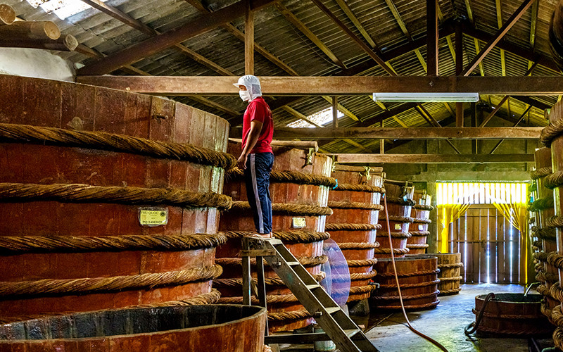 Sản xuất nước mắm truyền thống tại Phú Quốc.