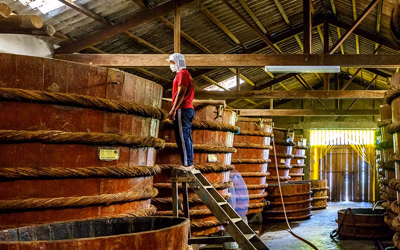 Sản xuất nước mắm truyền thống tại Phú Quốc.