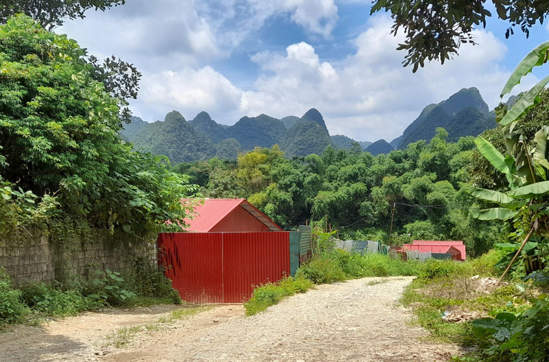Nhìn từ bên ngoài, cơ sở sơ chế chân gà của Công ty TNHH xuất nhập khẩu và thương mại Hùng Cường khá im lìm.