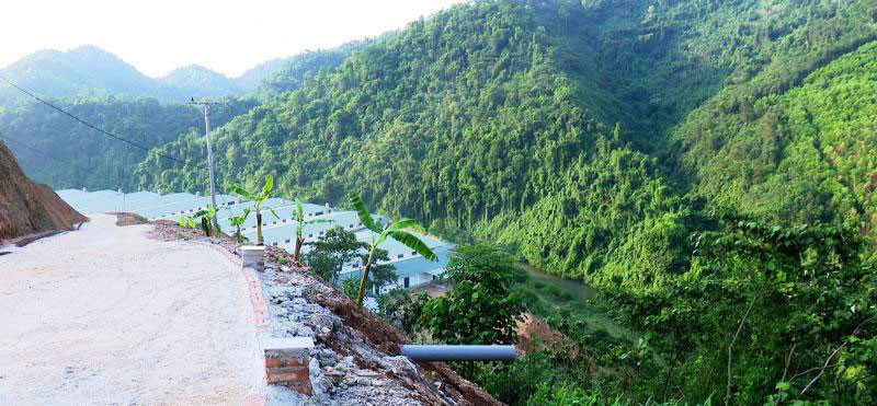 Trang trại lợn của công ty xây dựng sát dòng sông Cầu. 