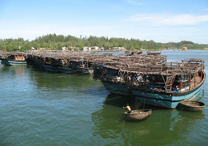 Tàu câu mực của ngư dân xã Bình Chánh, huyện Bình Sơn (Quảng Ngãi).