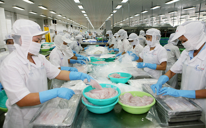 Chế biến thủy sản xuất khẩu tại Công ty CP xuất nhập khẩu Thủy sản Cần Thơ. Ảnh: QUỐC TUẤN