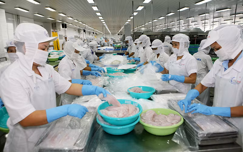 Chế biến thủy sản xuất khẩu tại Công ty CP xuất nhập khẩu Thủy sản Cần Thơ. Ảnh: QUỐC TUẤN