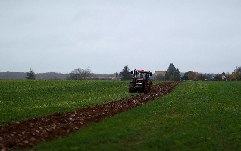 Một cánh đồng ở Villeneuve-sur-Auvers, gần Paris, Pháp. (Ảnh: Reuters)