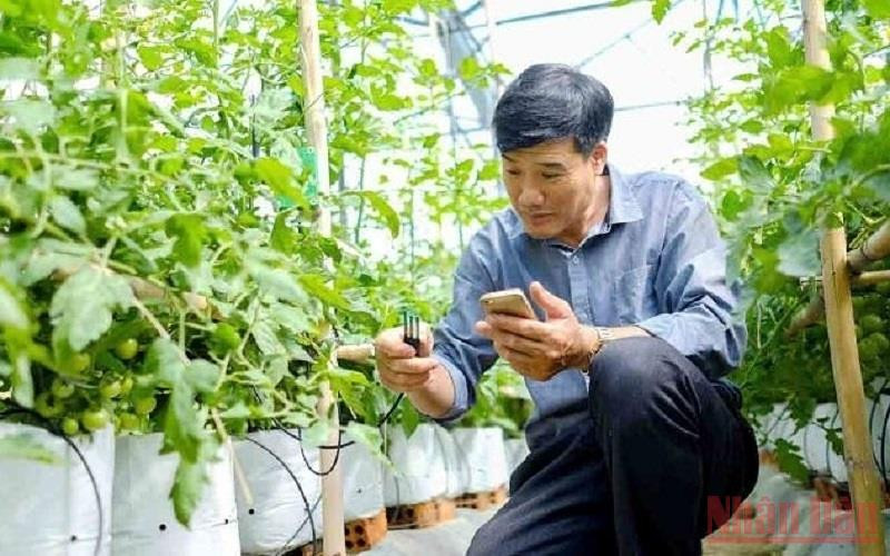 (Ảnh minh họa: MAI VĂN BẢO)