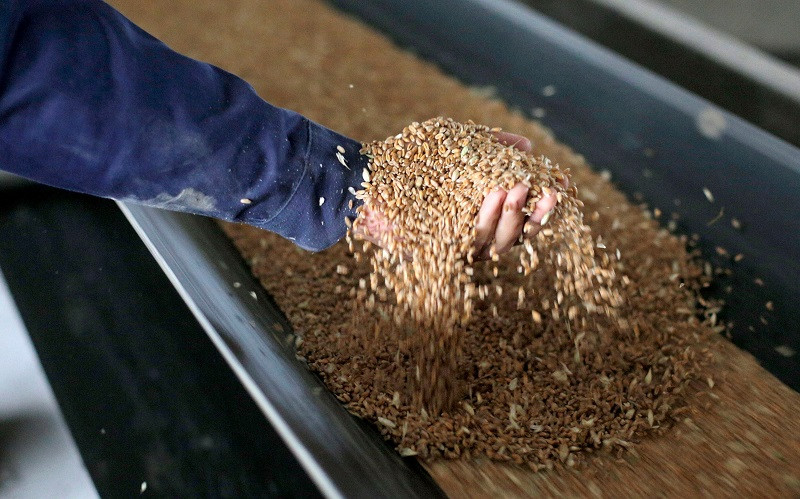 Tháng 10 là tháng thứ ba liên tiếp giá lương thực thế giới tăng, lên mức cao nhất trong một thập kỷ qua. (Ảnh: FAO)