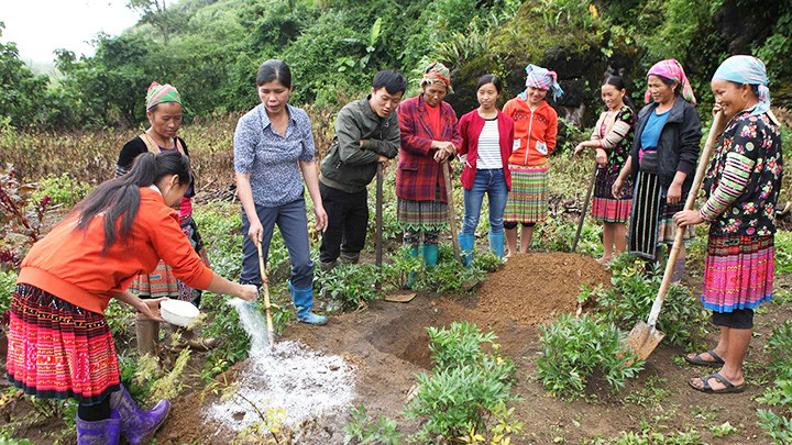 Giáo viên của Trung tâm dạy nghề huyện Sìn Hồ hướng dẫn học viên trồng cây ăn quả tại bản Thà Chải, xã Tả Ngảo, huyện Sìn Hồ, tỉnh Lai Châu. Ảnh: TTXVN