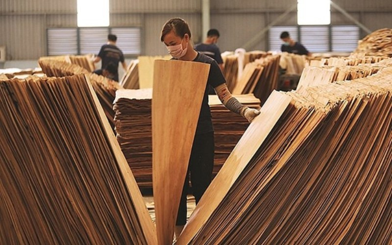 Doanh nghiệp Việt đang phải cạnh tranh trực tiếp với các doanh nhân Trung Quốc trong việc thu mua ván bóc của Việt Nam. Ảnh minh họa. (Nguồn:congthuong.vn)