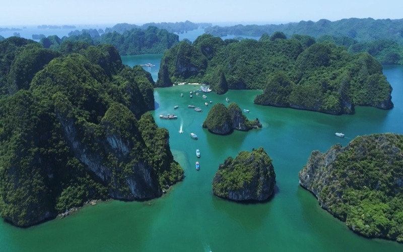 Quảng Ninh sẽ phát triển rừng đặc dụng thành rừng quốc gia Vịnh Hạ Long 