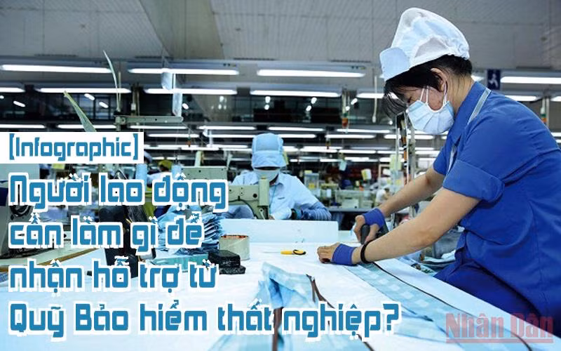 [Infographic] Người lao động cần làm gì để nhận hỗ trợ từ Quỹ Bảo hiểm thất nghiệp?