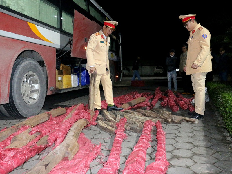 Phát hiện xe khách chở gần một tấn gỗ trắc trong đêm