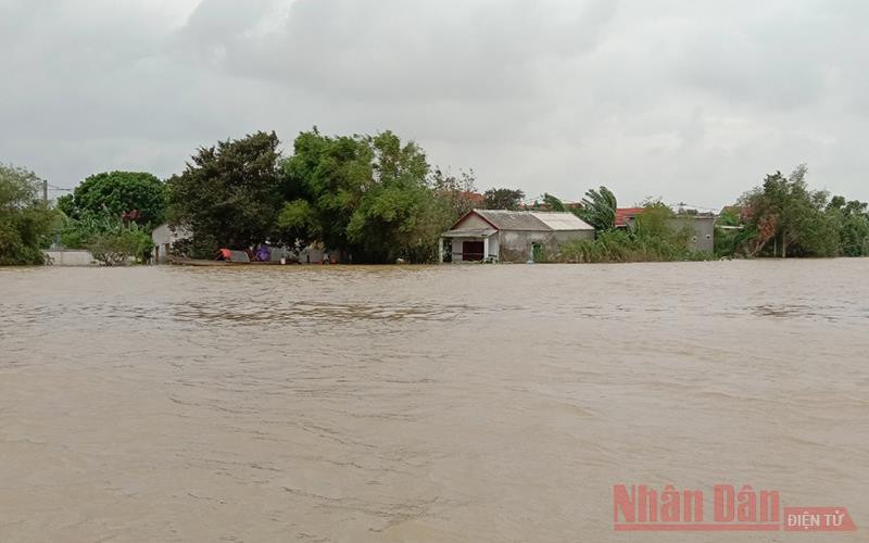 Người dân ở ven sông Kiến Giang, huyện Lệ Thủy (Quảng Bình) đón ba trận lũ trong tám ngày. Ảnh: HƯƠNG GIANG.