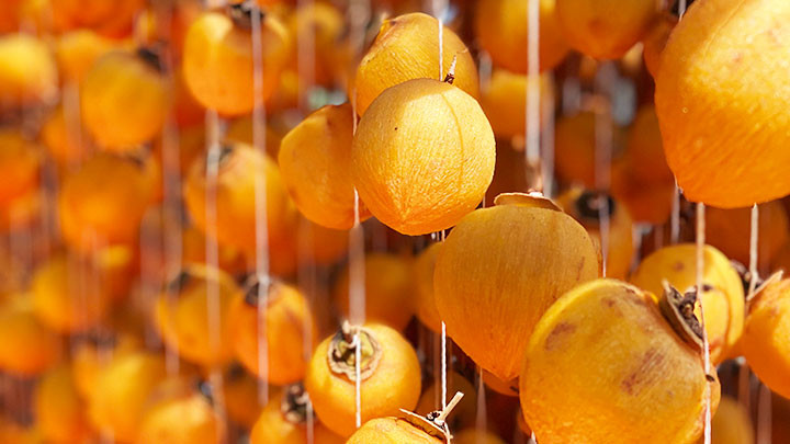 Mùa hồng treo gió