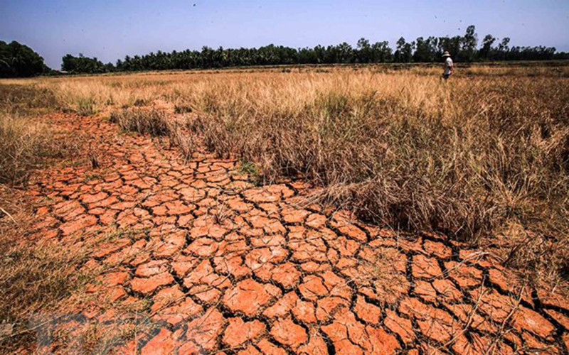 Ảnh minh họa. (Ảnh: TTXVN)