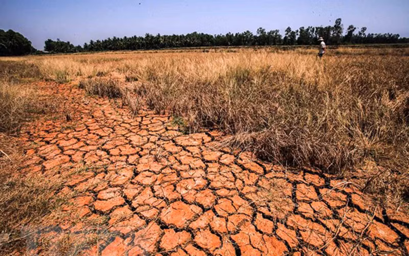 Ảnh minh họa. (Ảnh: TTXVN)