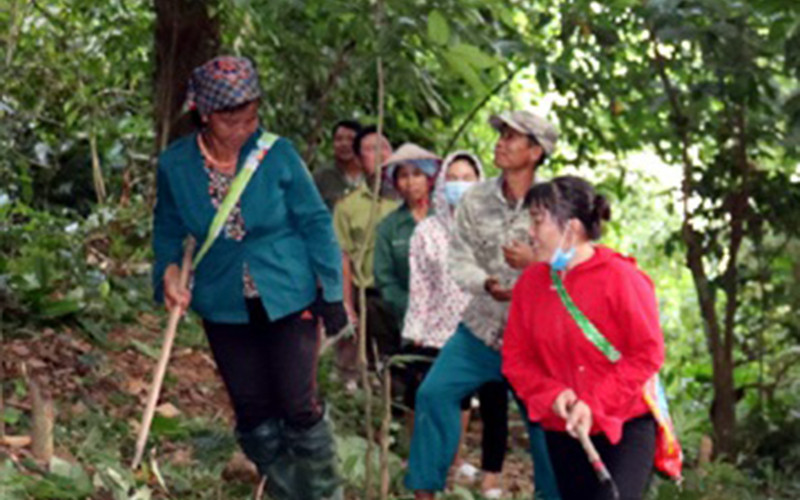 Người dân bản Mường Tùng, xã Mường Tùng, huyện Mường Chà chăm sóc rừng.