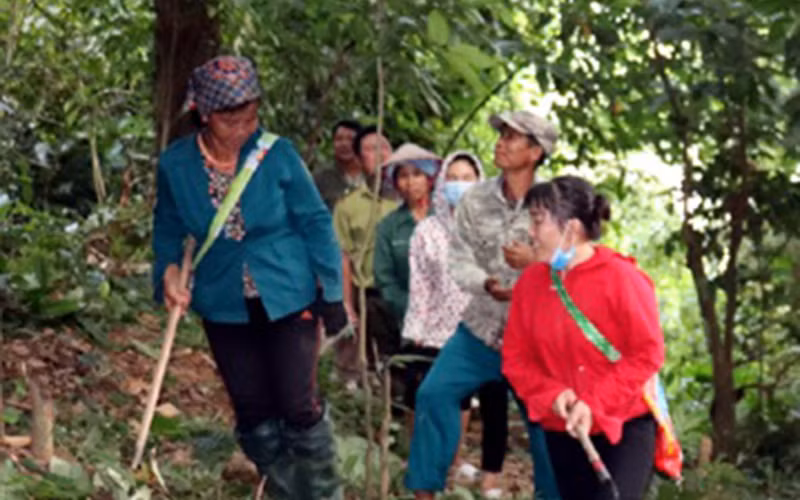 Người dân bản Mường Tùng, xã Mường Tùng, huyện Mường Chà chăm sóc rừng.