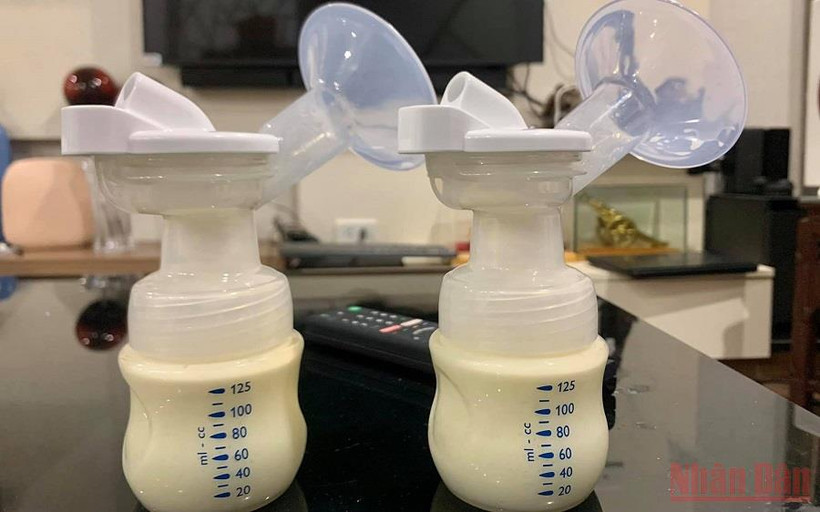 (Ảnh minh họa: ANH THƯ)