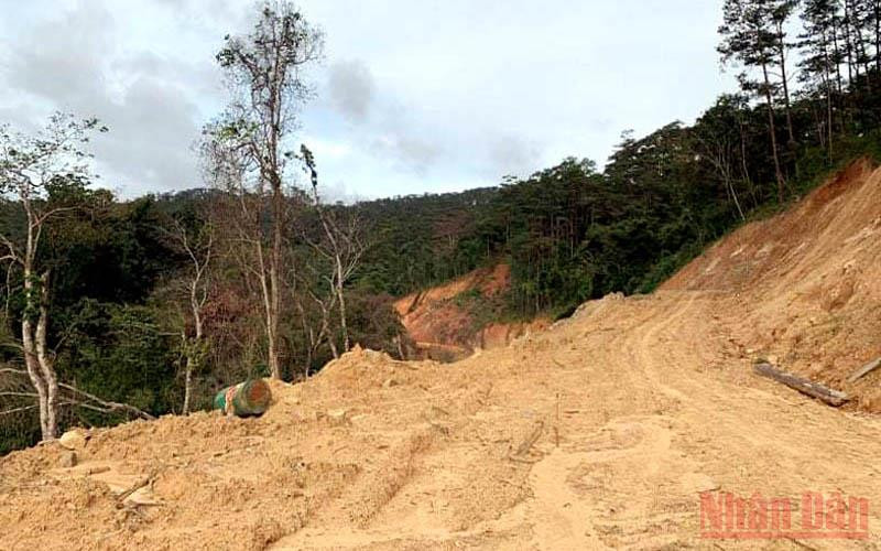 Đơn vị thi công tự ý mở đường Trường Sơn Đông đoạn đi qua Vườn quốc gia Bidoup-Núi Bà.