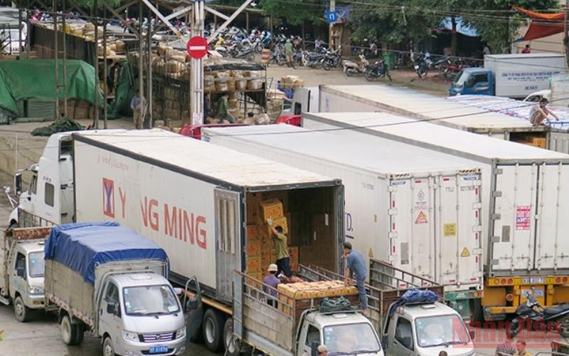 Bốc xếp hàng hóa chuyển qua cửa khẩu Cốc Nam. (ảnh HÙNG TRÁNG)