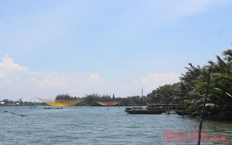 Sông Thu Bồn không những thu hút ánh nhìn từ cảnh đẹp mà còn là ngư trường nhỏ, tạo sinh kế cho những người dân ven bờ. Tại đây, sẽ bắt gặp nhưng cây cầu hẫng của những gia đình có vó bắt cá đã bắc cầu, neo thuyền bên bờ sông.