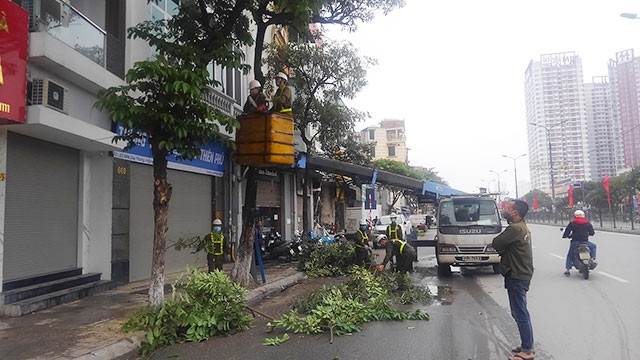Cắt tỉa cây xanh trước mùa mưa, bão là việc làm cần thiết đề phòng sự cố bất ngờ.