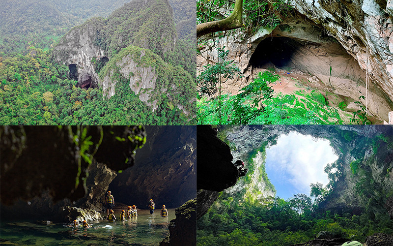 Cuộc phiêu lưu vào rừng thẳm