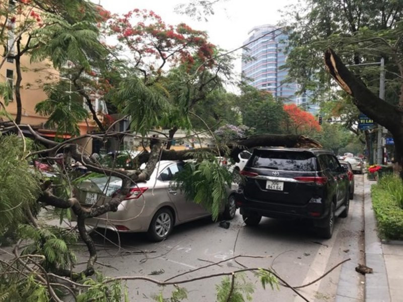 Hiện trường vụ việc. (Nguồn: anninhthudo.vn)