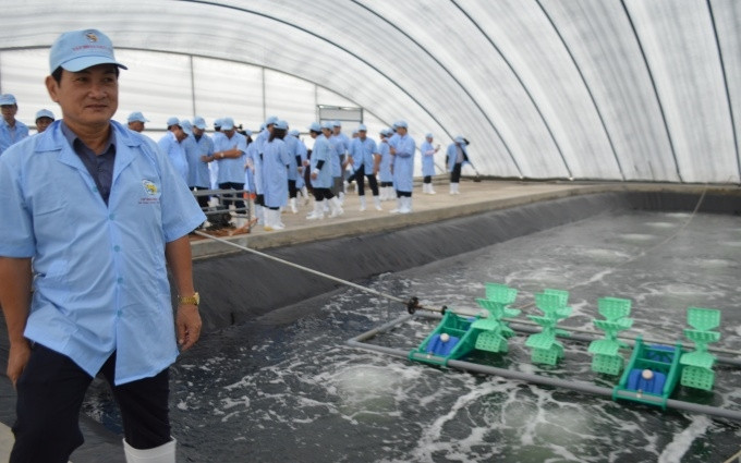 Lãnh đạo huyện Hòa Bình (Bạc Liêu) kiểm tra các cơ sở nuôi tôm công nghiệp tại vùng ven biển.