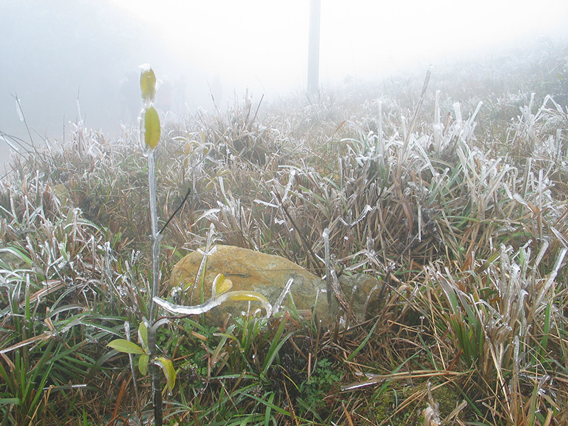 Xuất hiện băng tuyết ở đỉnh Phja Oắc và Mẫu Sơn