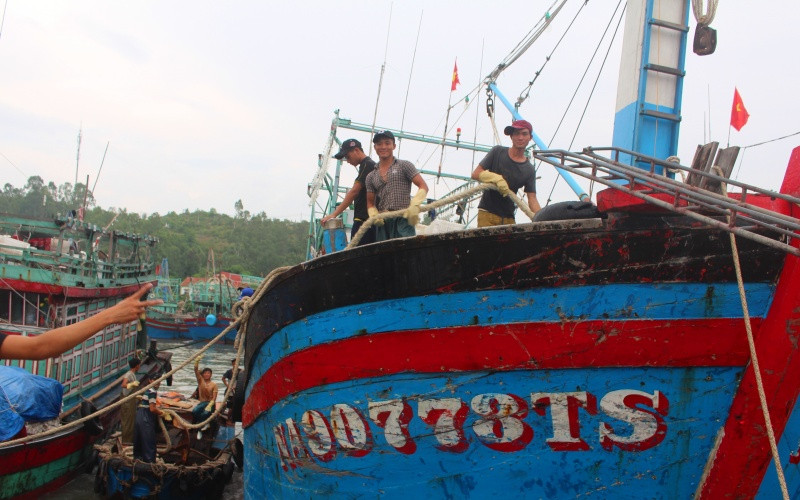 Ngư dân Quỳnh Lưu thả neo chằng chống tàu thuyền, thu gom lưới cụ, bảo đảm an toàn trước khi bão vào.