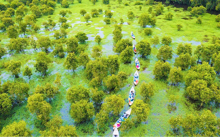 Du khách đi xuồng xuyên qua rừng tràm Trà Sư để hòa mình vào thiên nhiên thơ mộng.