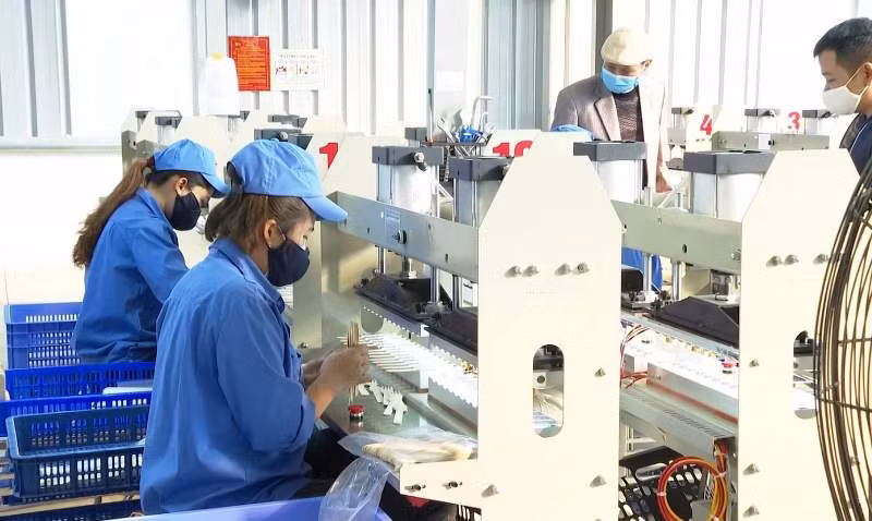 Chế biến gỗ tại nhà máy của Công ty TNHH Kẻ Gỗ tại khu công nghiệp Thanh Bình.