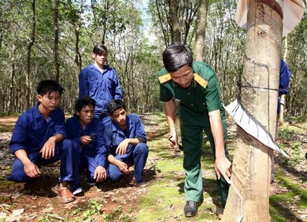 Cán bộ Công ty 75 (Binh đoàn 15) hướng dẫn công nhân là bà con dân tộc Gia Rai ở đội 13, huyện biên giới Ðức Cơ (Gia Lai